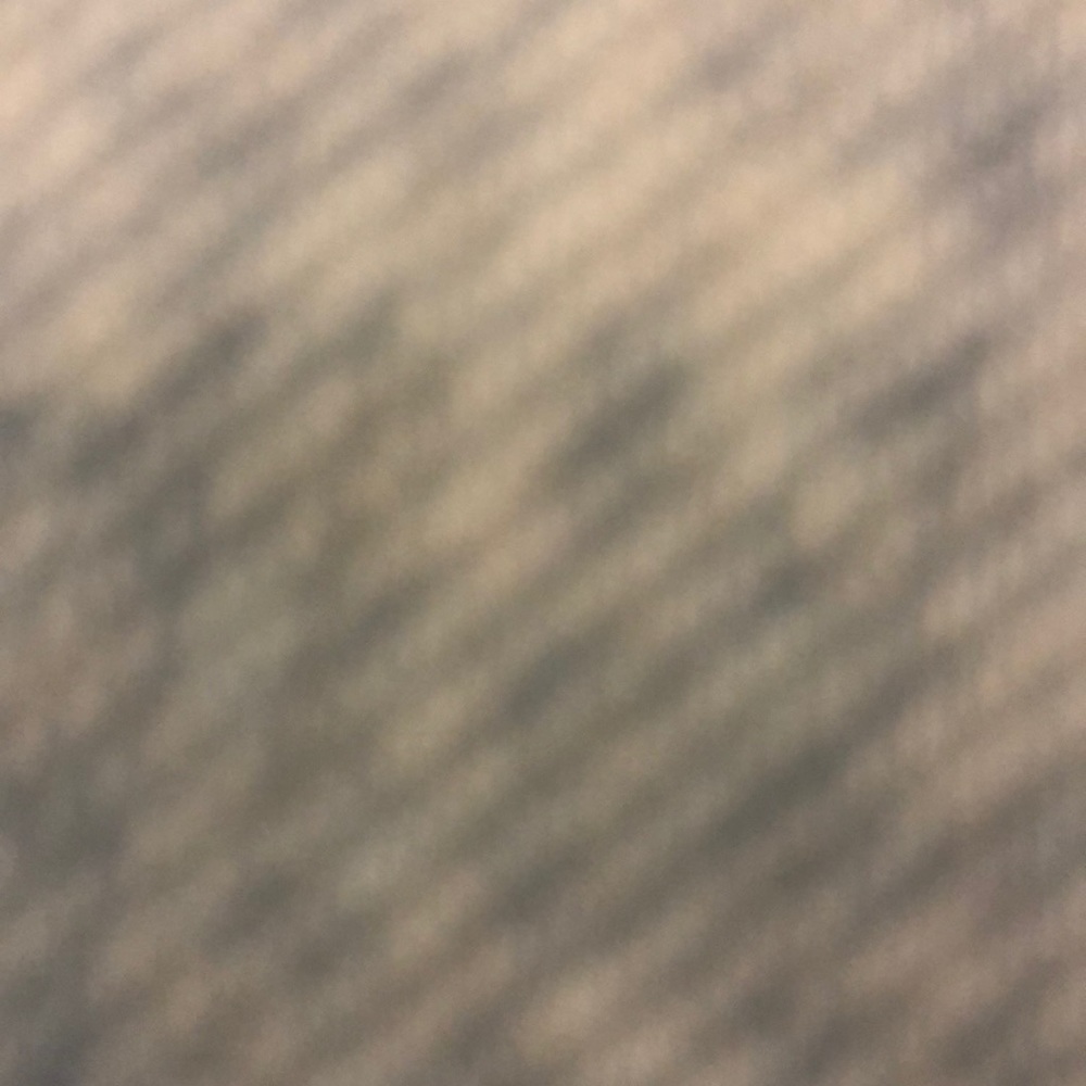 Meet your Posher, Tiger